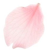 花びらの装飾