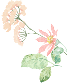 花の装飾