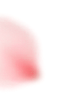 花びらの装飾