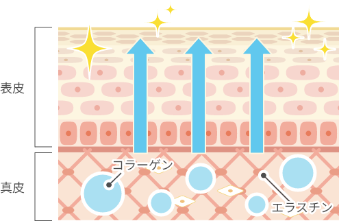 美容鍼灸で起こる変化